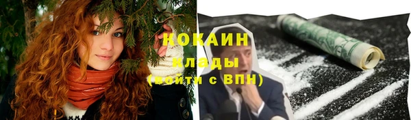 ешки Володарск