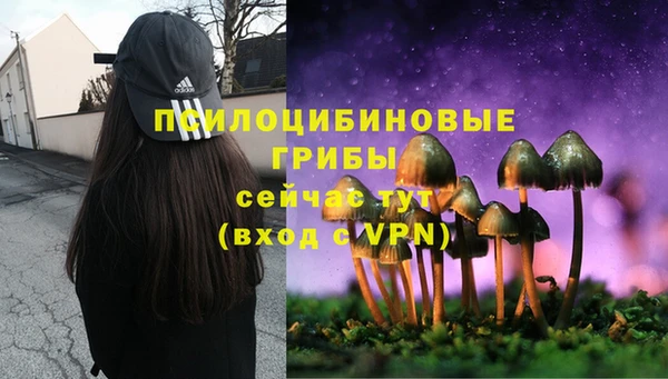 герыч Бугульма