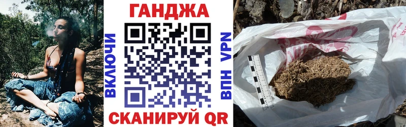 Канабис Amnesia  нарко площадка официальный сайт  Закаменск  купить закладку 